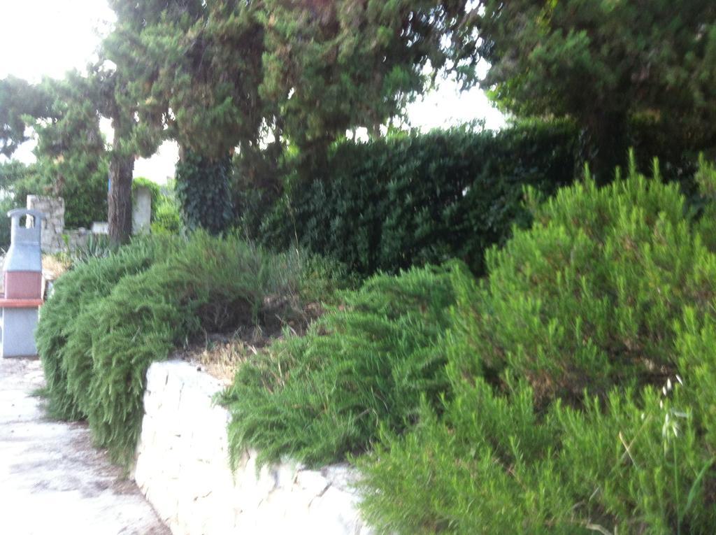 Apartments Casa Nostra Biograd Na Moru Εξωτερικό φωτογραφία
